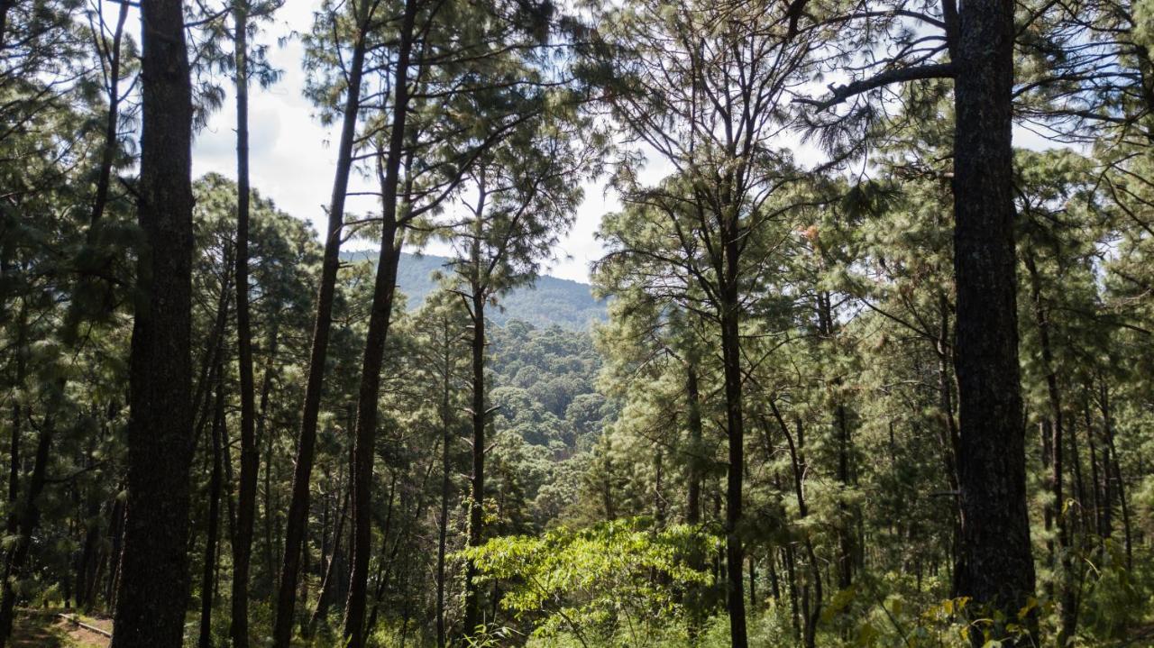 Monteverde Мазамитла Экстерьер фото